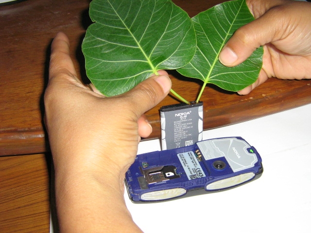 оказавшись в джунглях индии (а почему бы нет) вы можете запросто зарядить свой телефон с помощью двух зеленых листьев дерева пипал